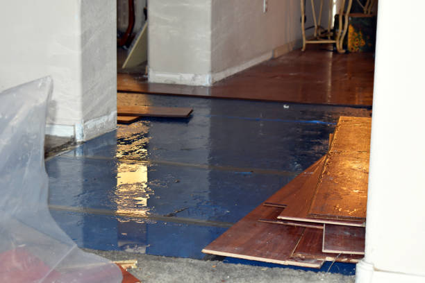 Professional Burst Pipe Cleanup technician working in Grove City, PA